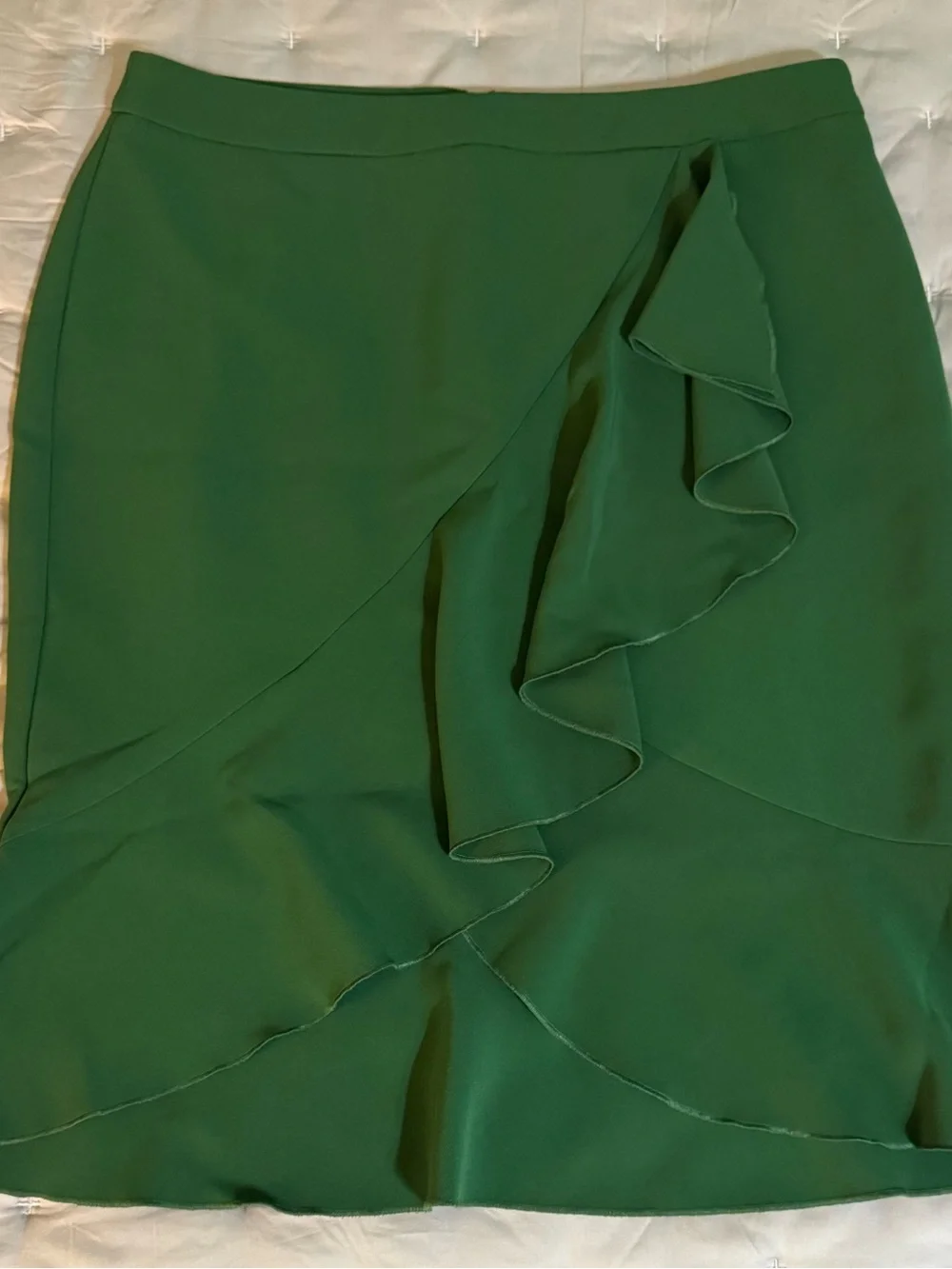 NWT Ann Taylor Skirt (8P)